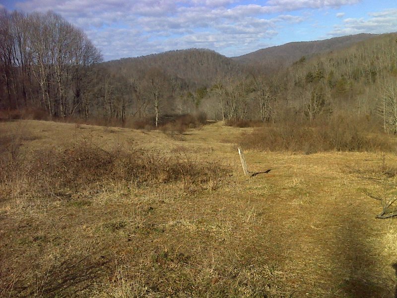 Meadow on AT northbound approaching VA 672.  Taken in January 2012.  GPS N36.7527 W 81.4906  Courtesy pjwtzel@gmail.com