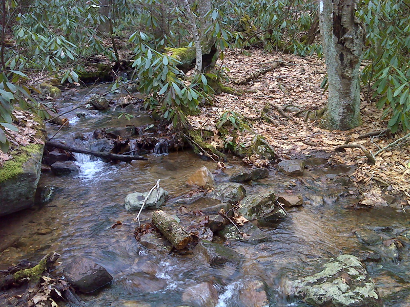 mm 3.8 AT crossing of small stream at 3100 feet elevation, low point at base of Hurricane Mountain summit, north side. From here a short bush whack through open woods leads to FS 84. GPS N36.7194 W81.5037  Courtesy pjwetzl@gmail.com