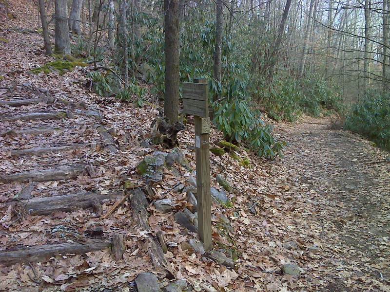 mm 5.2 Junction with side trail to Hurricane Mt. Shelter  Courtesy pjwetzel@gmail.com