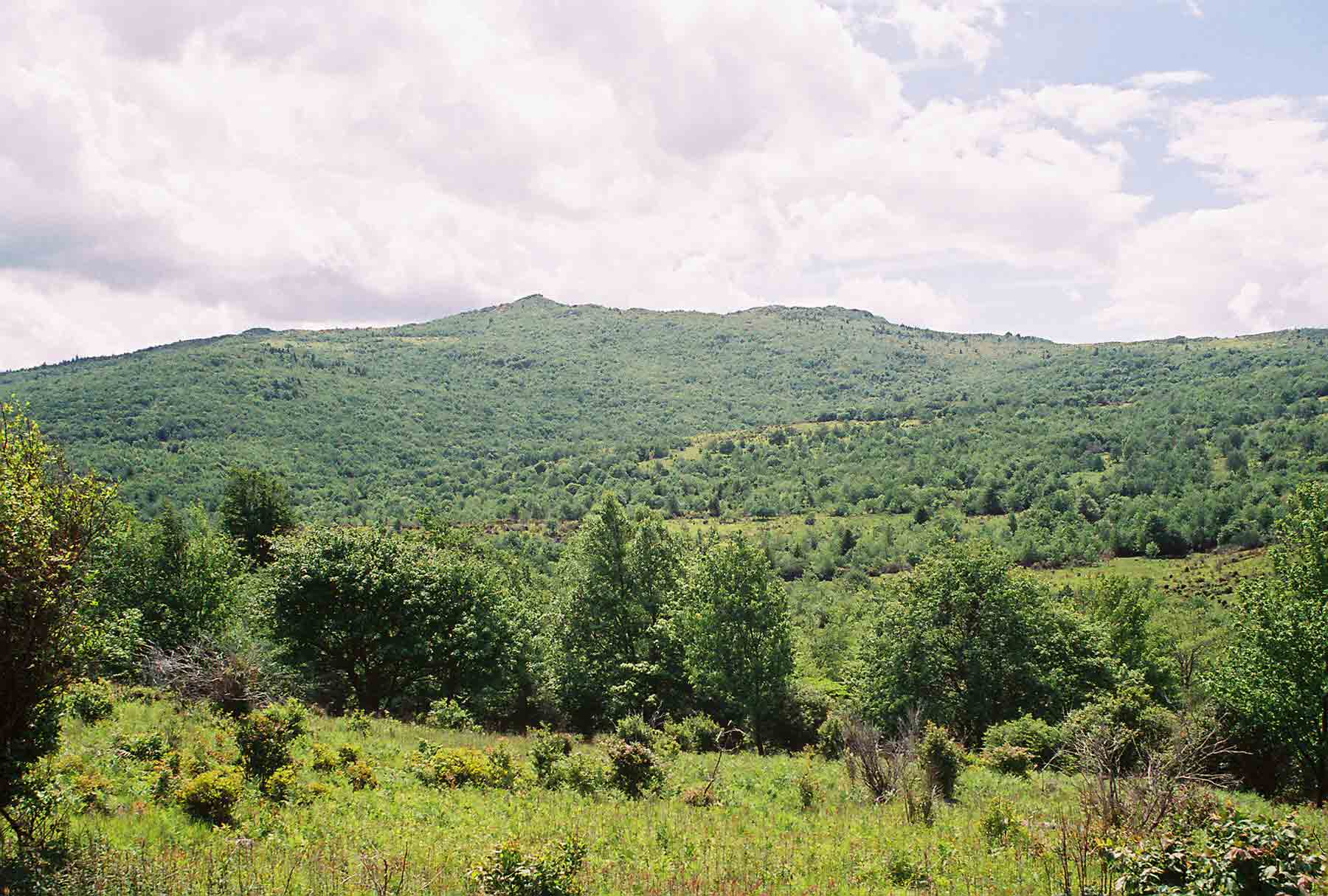 View west of the high country of Mt. Rogers National Recreation Area. Taken from Scales Trail north of the intersection with the AT at MM 7.3. AT makes a large semi-circle around this area. Southbound the AT eventually climbs Wilburn Ridge (in the distance in the picture). May 2004. Courtesy dlcul@conncoll.edu