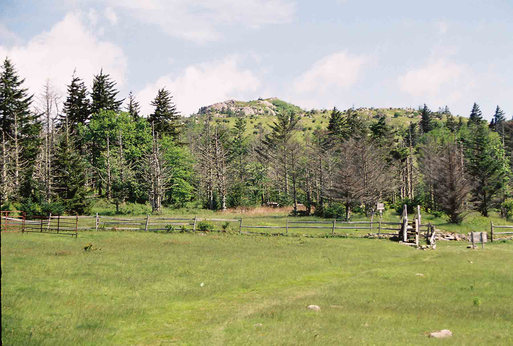 mm 10.3 - Boundary fence between Mt. Rogers NRA and Grayson Highlands State Park. Wilburn Ridge begins in background. The AT crosses the fence on a stile, and starts to climb ridge. This picture was taken in May 2004. 
	The next picture indictes that there has been some change since then. Courtesy dlcul@conncoll.edu
