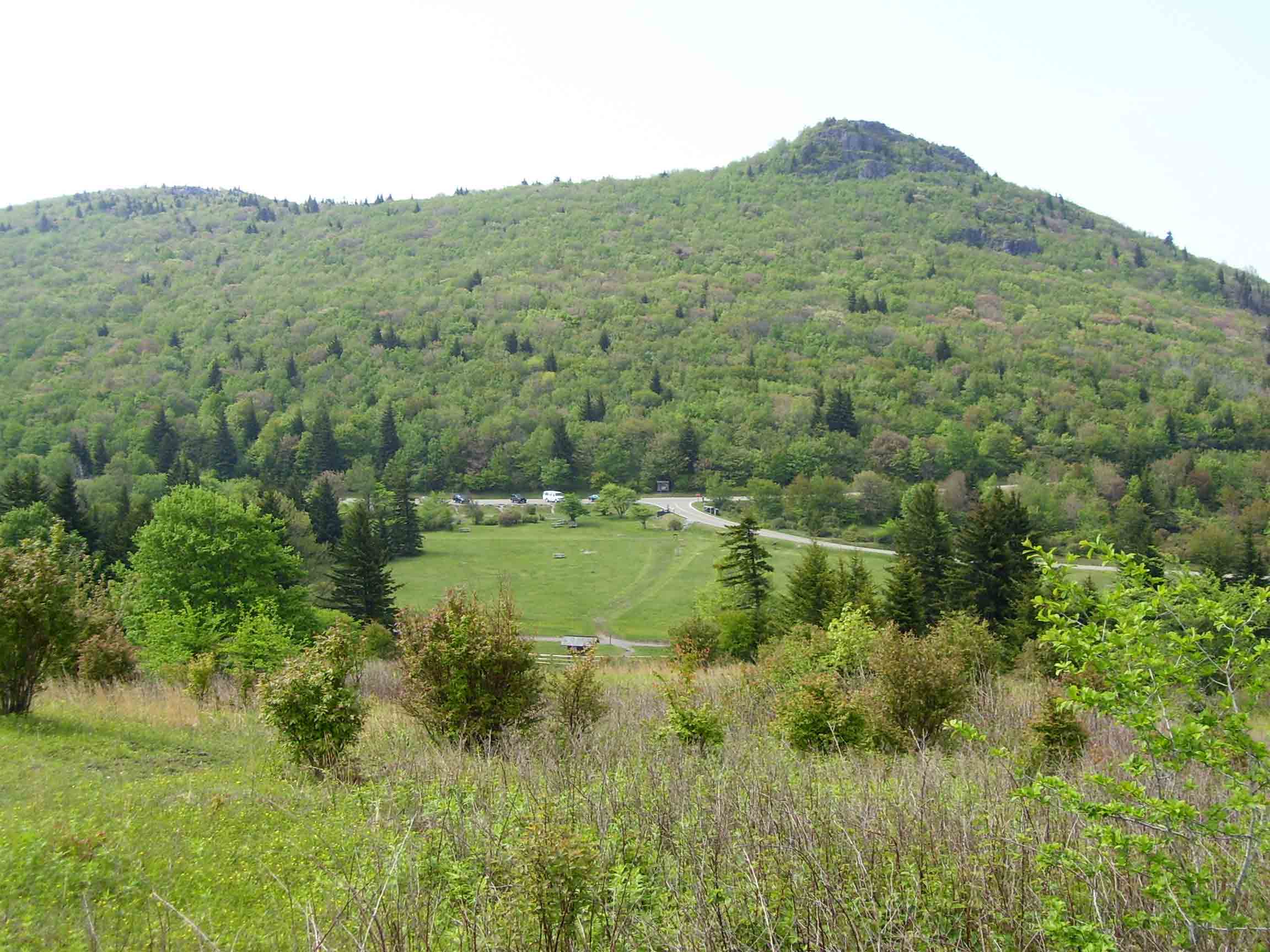 Massie Gap as seen from the Rhododendron Trail which meets the AT at MM 9.8. Some of the parking area can be seen on the left.  Courtesy dlcul@conncoll.edu