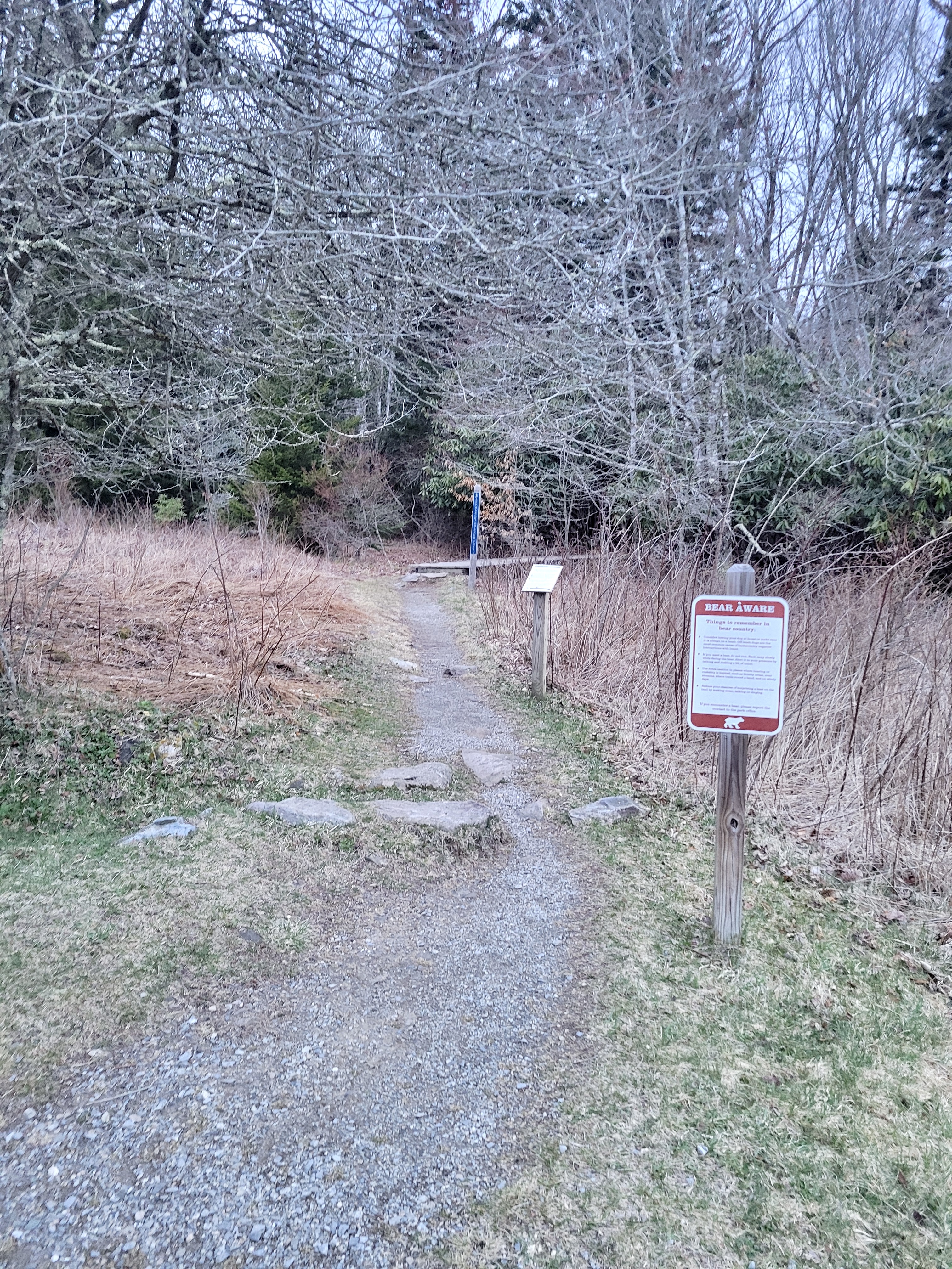 mm 9.2 Spur trail leaves the back of the parking area. Zoom in to see blue signage indicating Appalachian Spur Trail. Courtesy cabincellars@yahoo.com