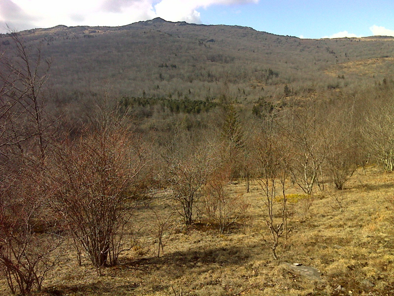 View of Wilburn Ridge from AT within Little Wilson Creek Wilderness.  GPS N36.6565 W81.4795 Courtesy pjwetzel@gmail.com