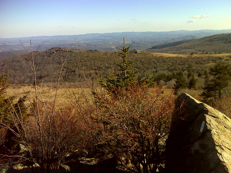 View southeast from flanks of Wilburn Ridge. GPS N36.647 W 81.5151  Courtesy pjwetzel@gmail.com