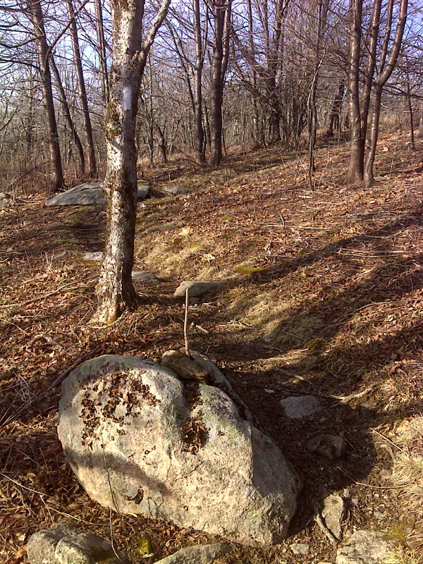 mm 3.5 AT changes course and descends from Saddle between Buzzard Rock and Beech Mtn.  Courtesy pjwetzel@gmail.com