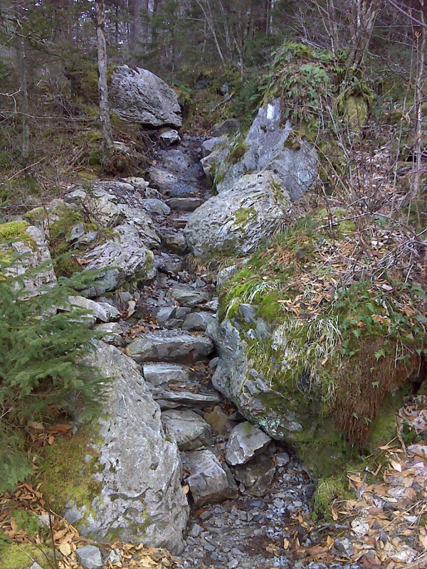 Stone steps, flanks of Whitetop Mtn.  GPS N36.6383 W81.5993  Courtesy pjwetzel@gmail.com