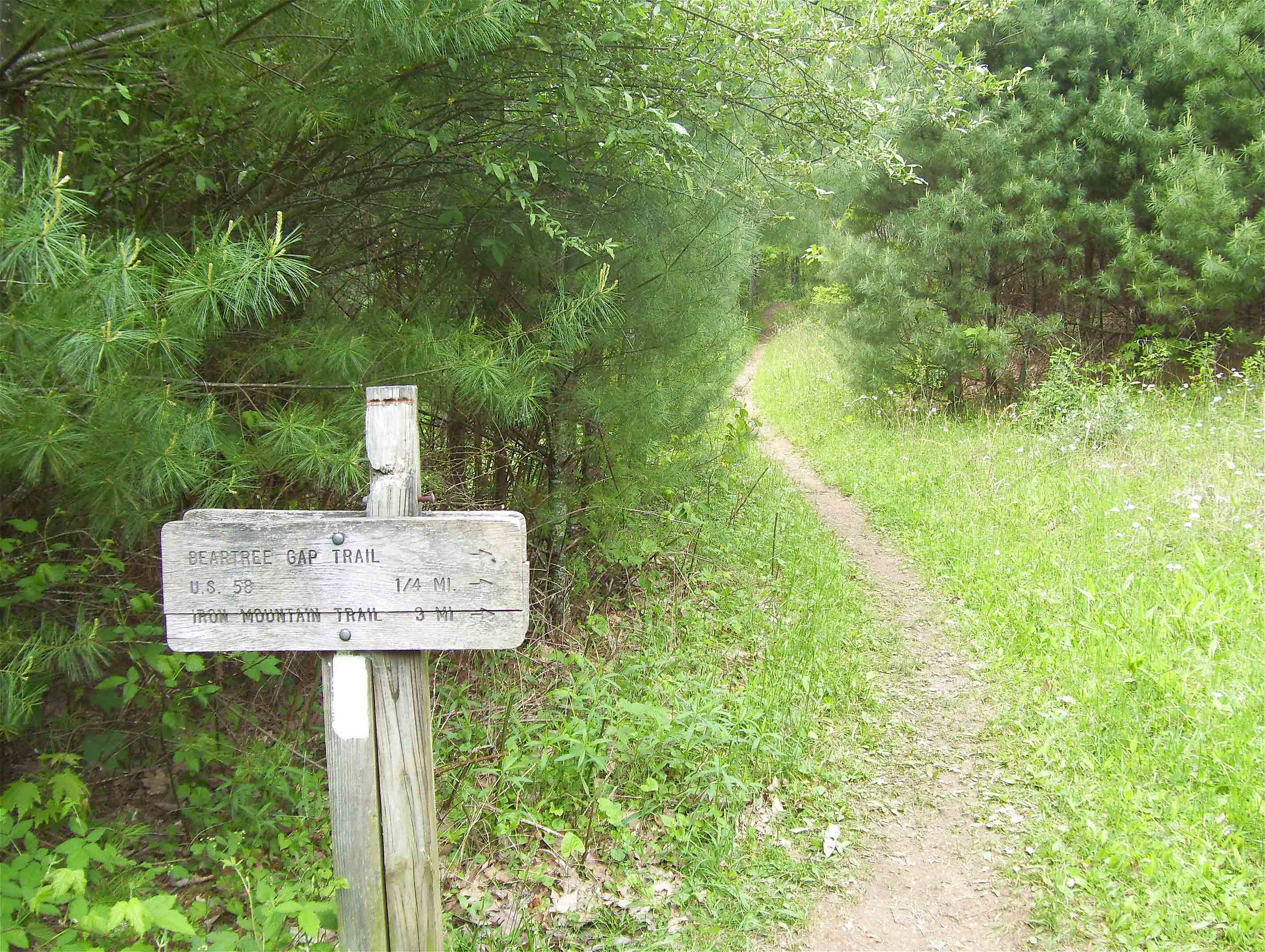 MM 5.2 Junction with Beartree Gap Trail. A violet-blazed side trail leads 0.2 miles to US 58 and another 0,3 miles to a parking area.  Courtesy dlcul@conncoll.edu