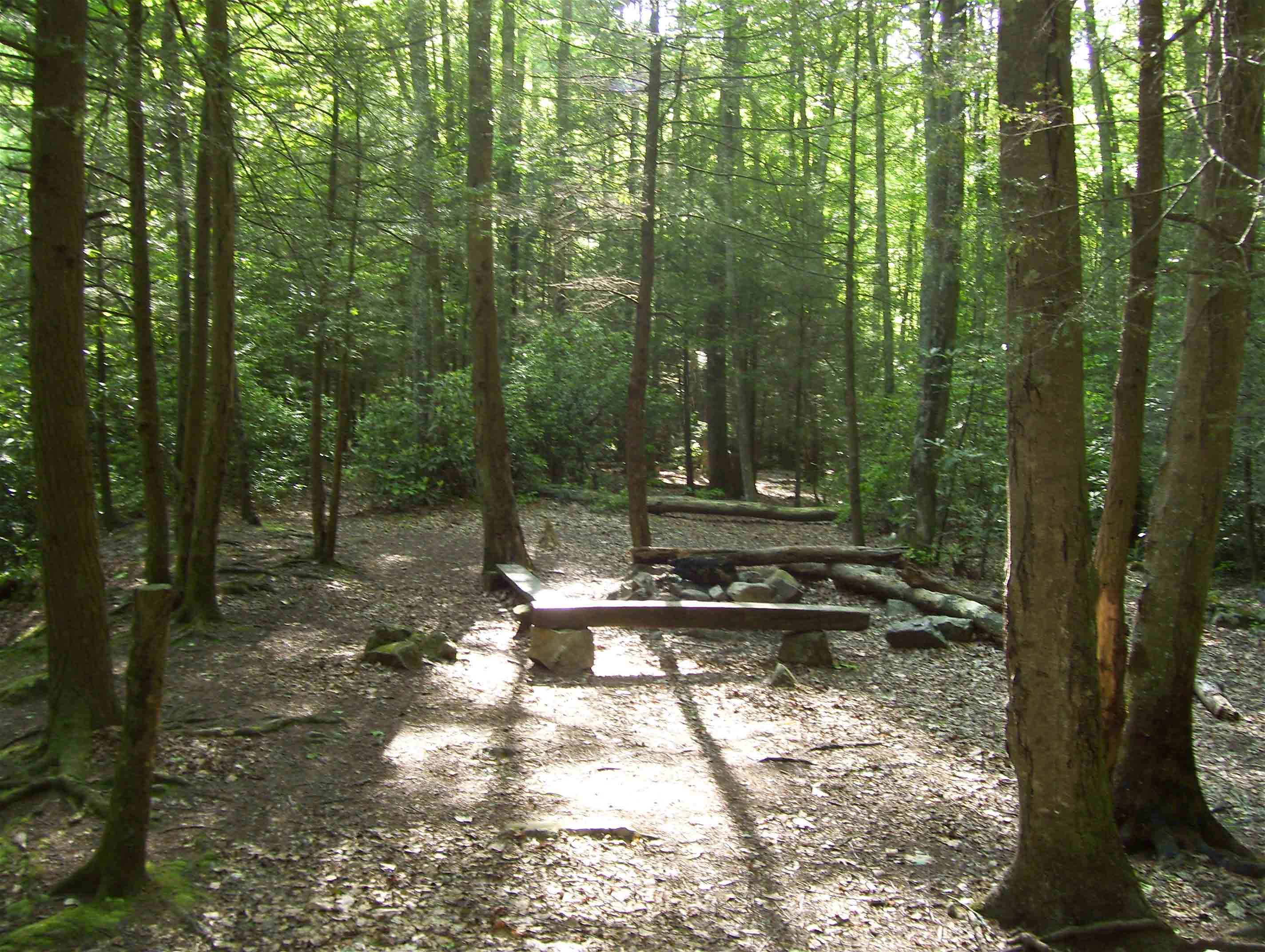 Very nice campsite along Whitetop Laurel Creek. Taken at approx. MM 10.5.  Courtesy dlcul@conncoll.edu