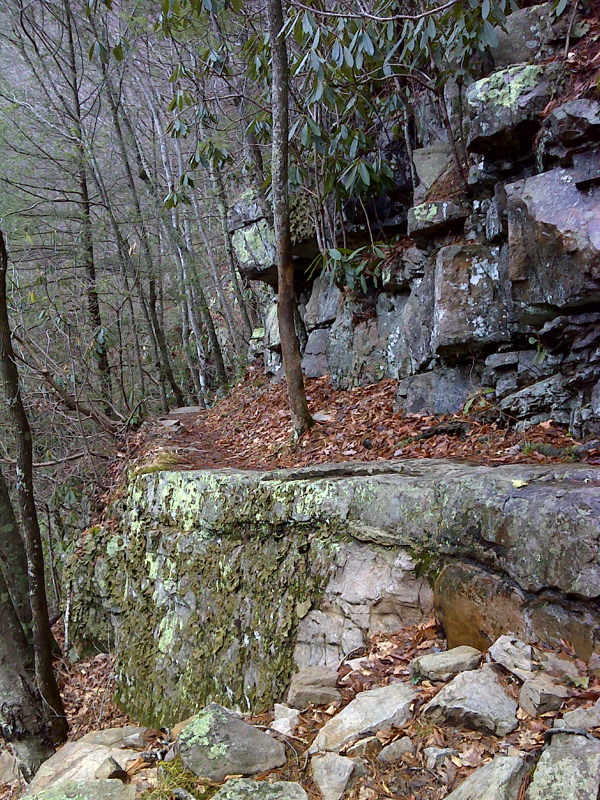 Rock ledge on AT near (overlooking) VA Creeper Trail bridge 25. GPS N36.6321  W81.7251  Courtesy pjwetzel@gmail.com