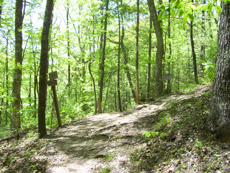 mm 13.4 Junction with the blue-blazed connector to the Iron Mt. Trail.  Courtesy dlcul@conncoll.edu