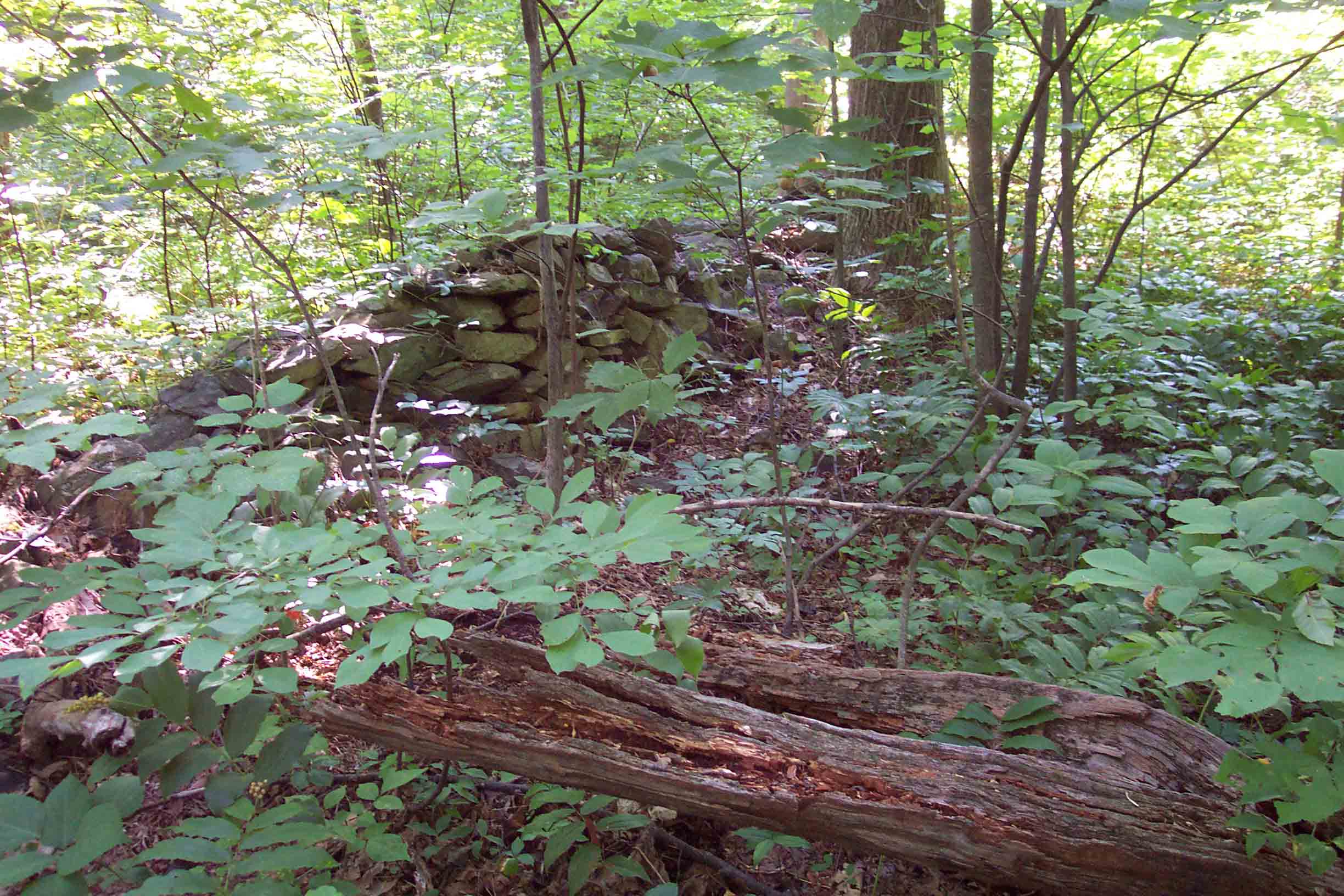 Old stone wall adjacent to trail at mile 4.6.  Courtesy ideanna656@aol.com