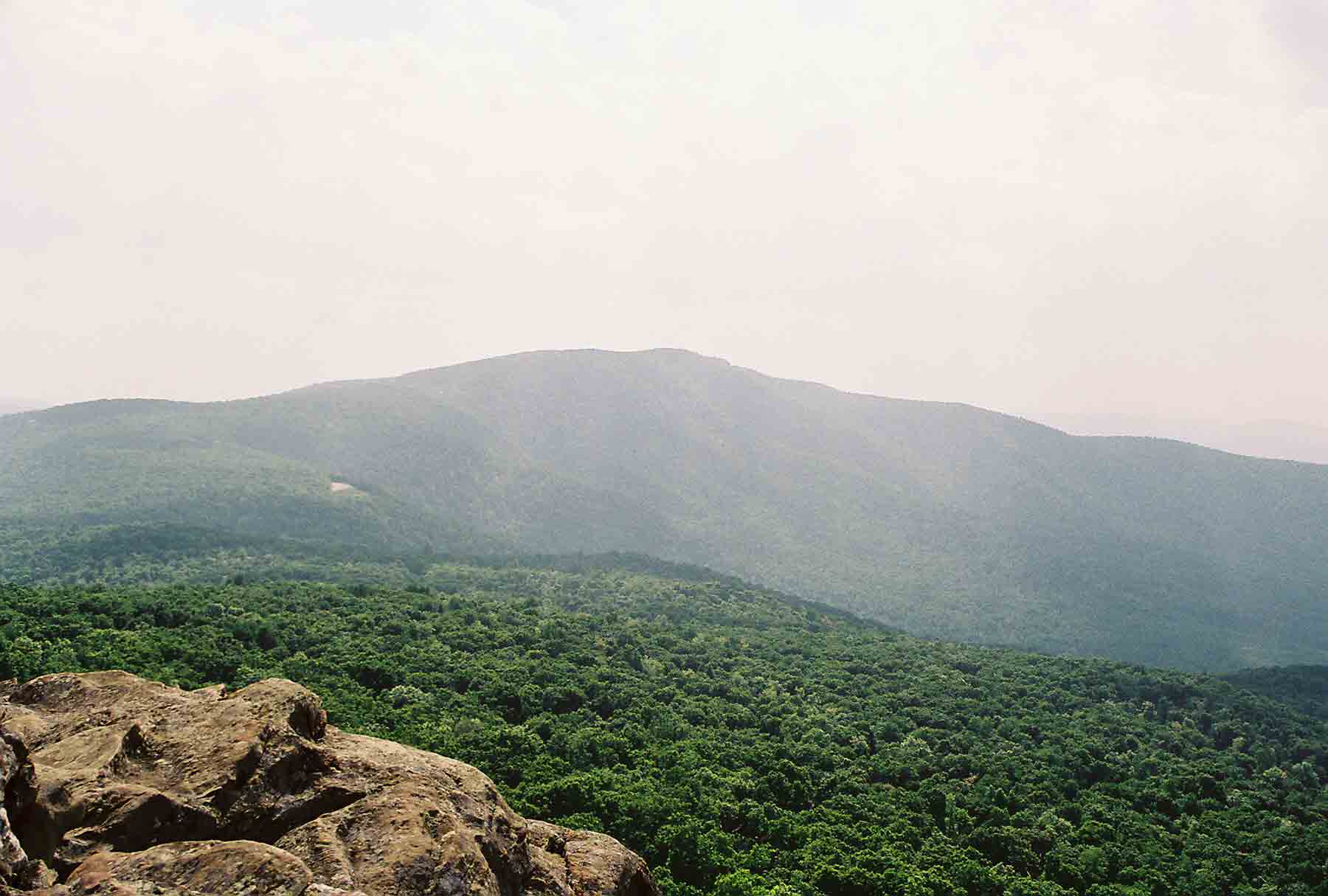 mm 10.9 - View of Hogback Mt. from viewpoint near summit of North Marshall Mt. (May 2004).  Courtesy dlcul@conncoll.edu