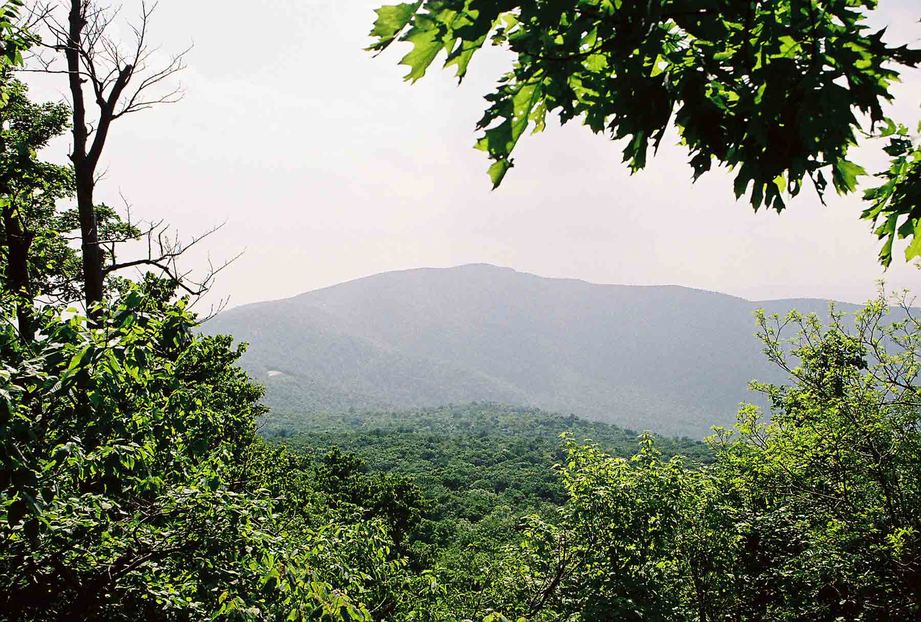 mm 12.0 - View of Hogback Mt. from viewpoint on S. Marshall Mt. (May 2004).  Courtesy dlcul@conncoll.edu
