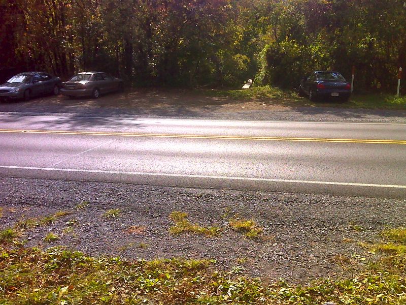 mm 0.0 Trail Crossing and parking at US 522 near Front Royal.  GPS N38.8782 W78.1506  Courtesy pjwetzel@gmail.com