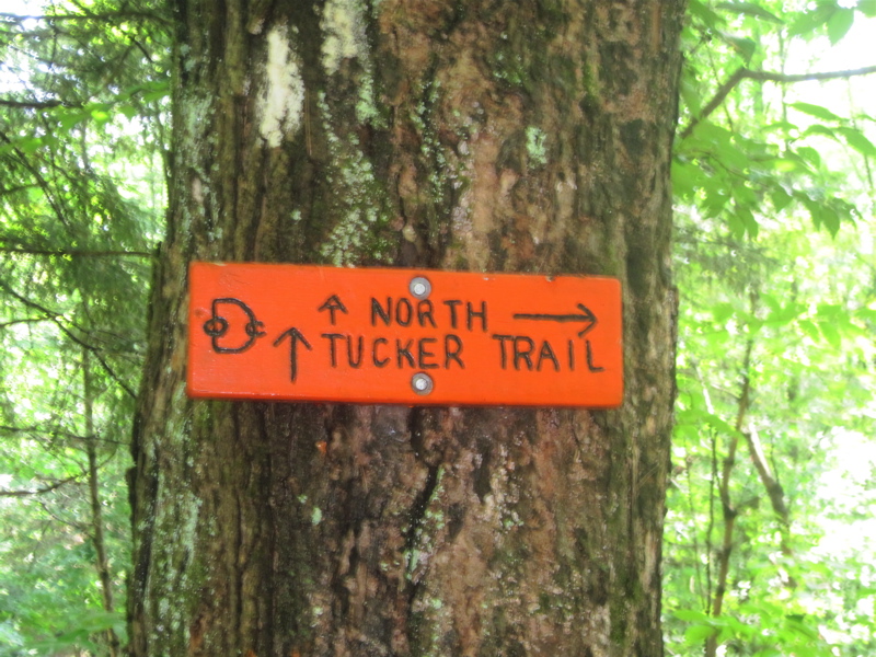 mm 5.1. Trail sign at intersection of the AT and the Tucker Trail.  Courtesy dlcul@conncoll.edu