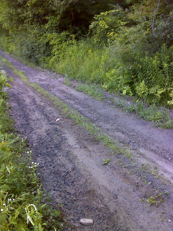 mm 10.3 Trail crosses narrow dirt Totman Road. GPS N43.6759 W72.5900  Courtesy pjwetzel@gmail.com