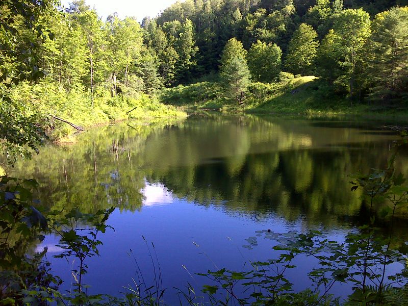 mm 3.3 This pond is just north of the trail on Joe Ranger Road.  It can be reached by a short bushwhack.   GPS 43.7053 N72.4622  Courtesy pjwetzel@gmail.com
