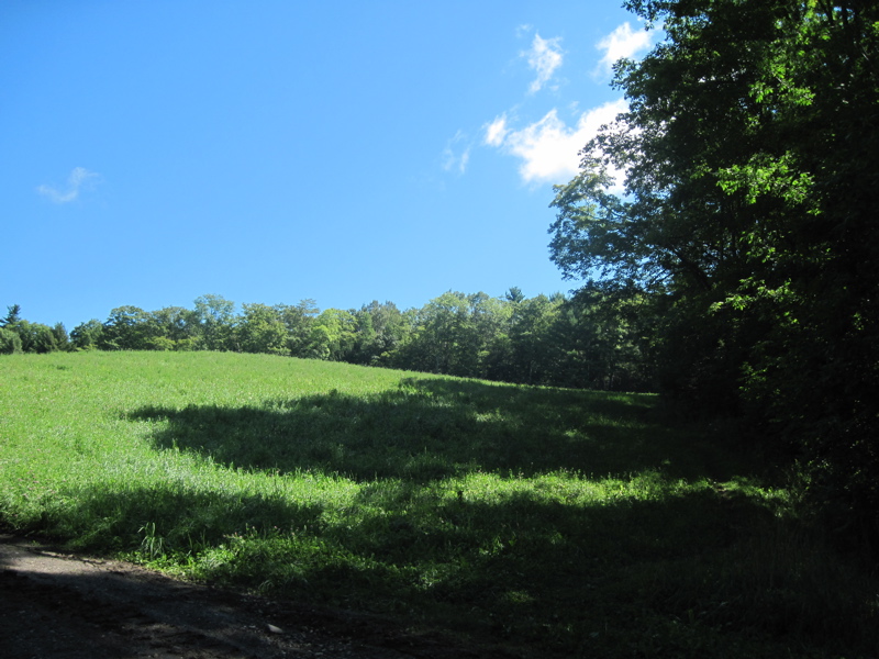 Field east (trail north) of Cloudland Road.  Taken at approx. mm 7.0  Courtesy dlcul@conncoll.edu