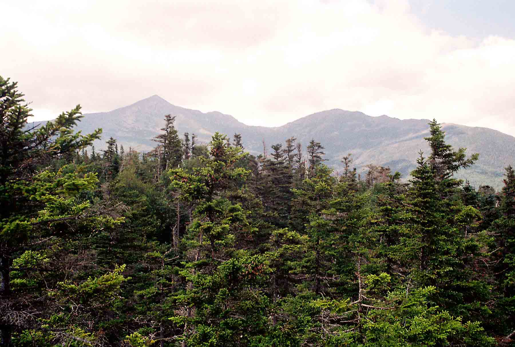 Coolidge Range from the AT east of River Road in Sherburne. Large Peak is Killington. Taken at approx. Mile 17.3.  Courtesy dlcul@conncoll.edu