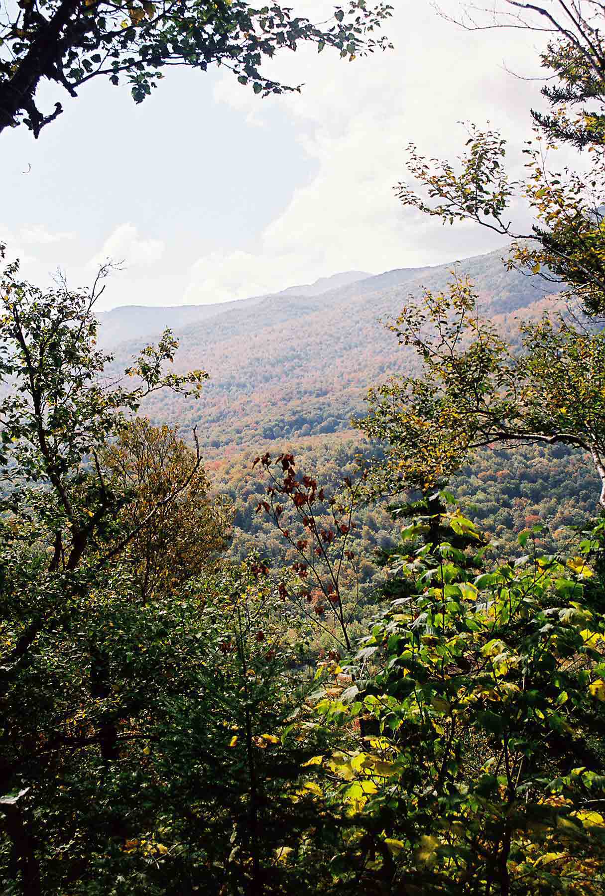 mm 21.5 - Looking from Ben's Balcony viewpoint located between VT 100 and the junction with the Sherburne Pass Trail. The summit of Killington can be seen. Courtesy dlcul@conncoll.edu