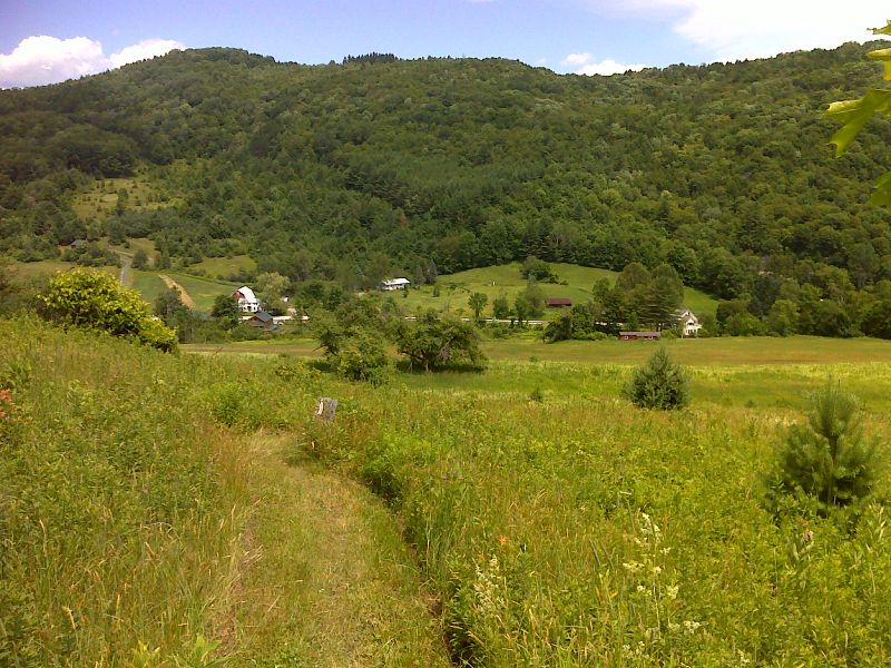 The northbound trail descends through a pasture towards VT 12.  Taken at approx. mm 0.2. GPS N43.6548 W72.5721  Courtesy pjwetzel@gmail.com