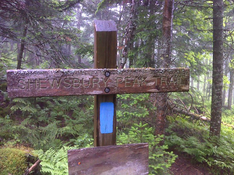 mm 7.9 Junction with the Shrewsbury Peak Trail.  GPS N43.6047 W72.8203  Courtesy pjwetzel@gmail.com