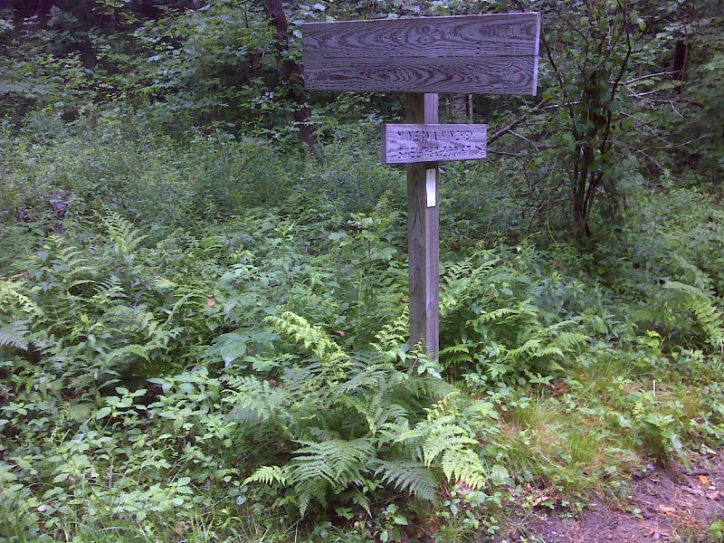 mm 2.7 Side trail to Minerva Hinchey Shelter..  GPS N43.4879 W72.9251  Courtesy pjwetzel@gmail.com