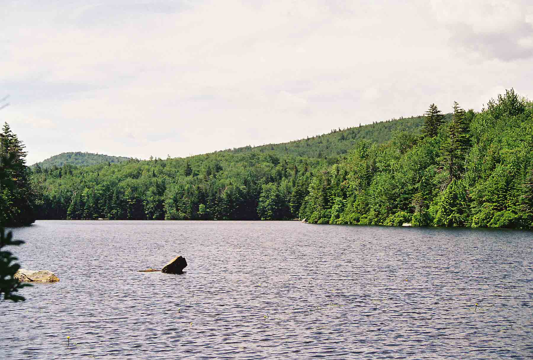 mm 7.0 - Griffith Lake as seen from the northeast corner of the lake. Courtesy dlcul@conncoll.edu