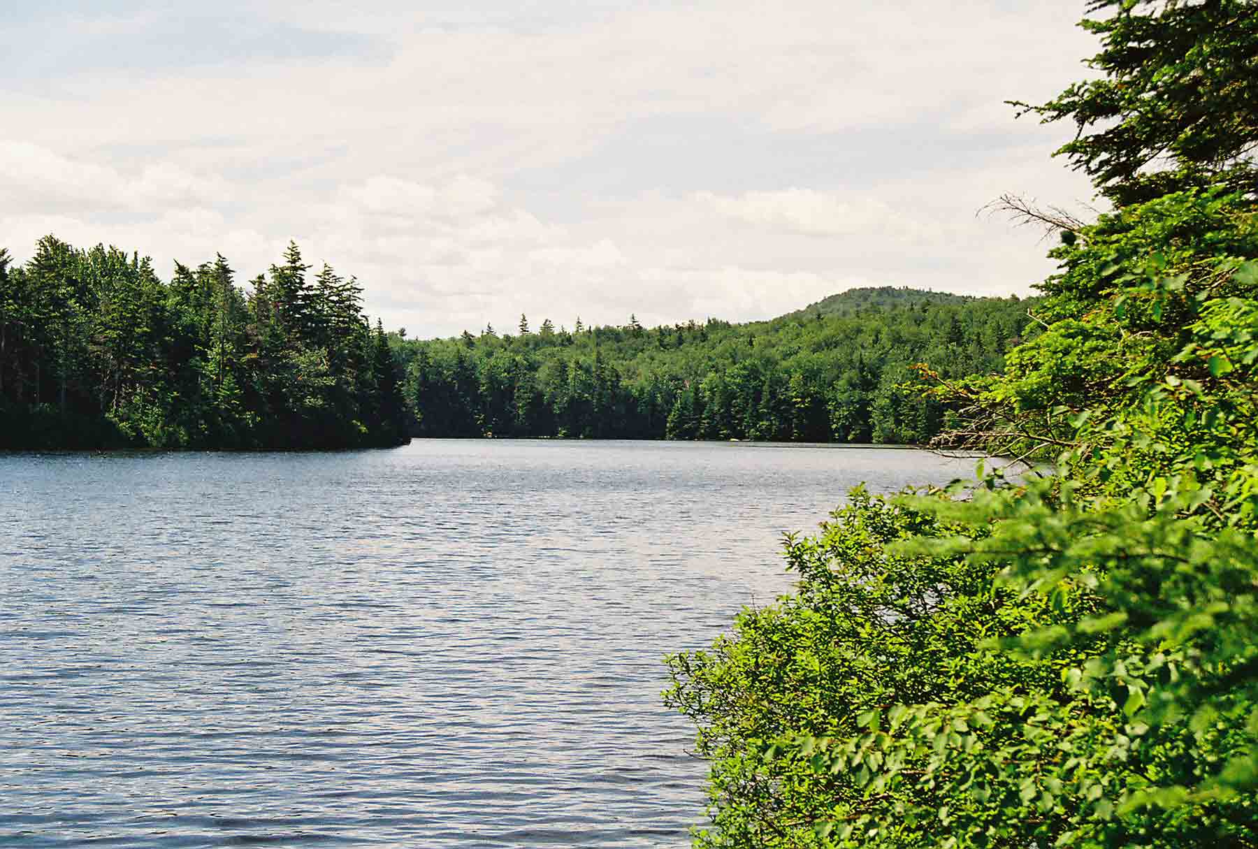 Griffith Lake looking south. This picture was taken just west of AT near Mile 7.0.  Courtesy dlcul@conncoll.edu