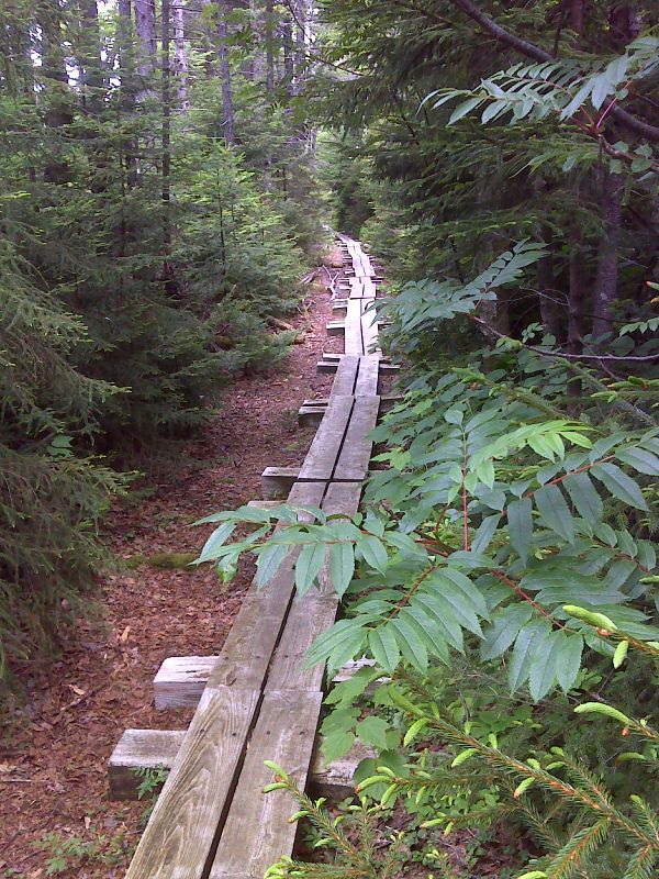 Long walk on puncheon on east side of Griffith Lake. Taken at approx m 7.1. GPS N43.3048 W72.9579   Courtesy pjwetzel@gmail.com