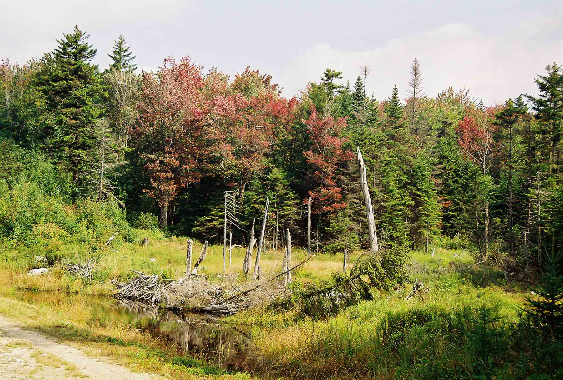 View from trailhead for Stratton Pond Trail. This blue-blazed trail, which once was the route of the AT/LT, provides access to Stratton Pond without going over Stratton Mt. The junction of the Stratton Pond Trail and the AT is at Mile 10.6. Picture was taken in early fall. Courtesy dlcul@conncoll.edu