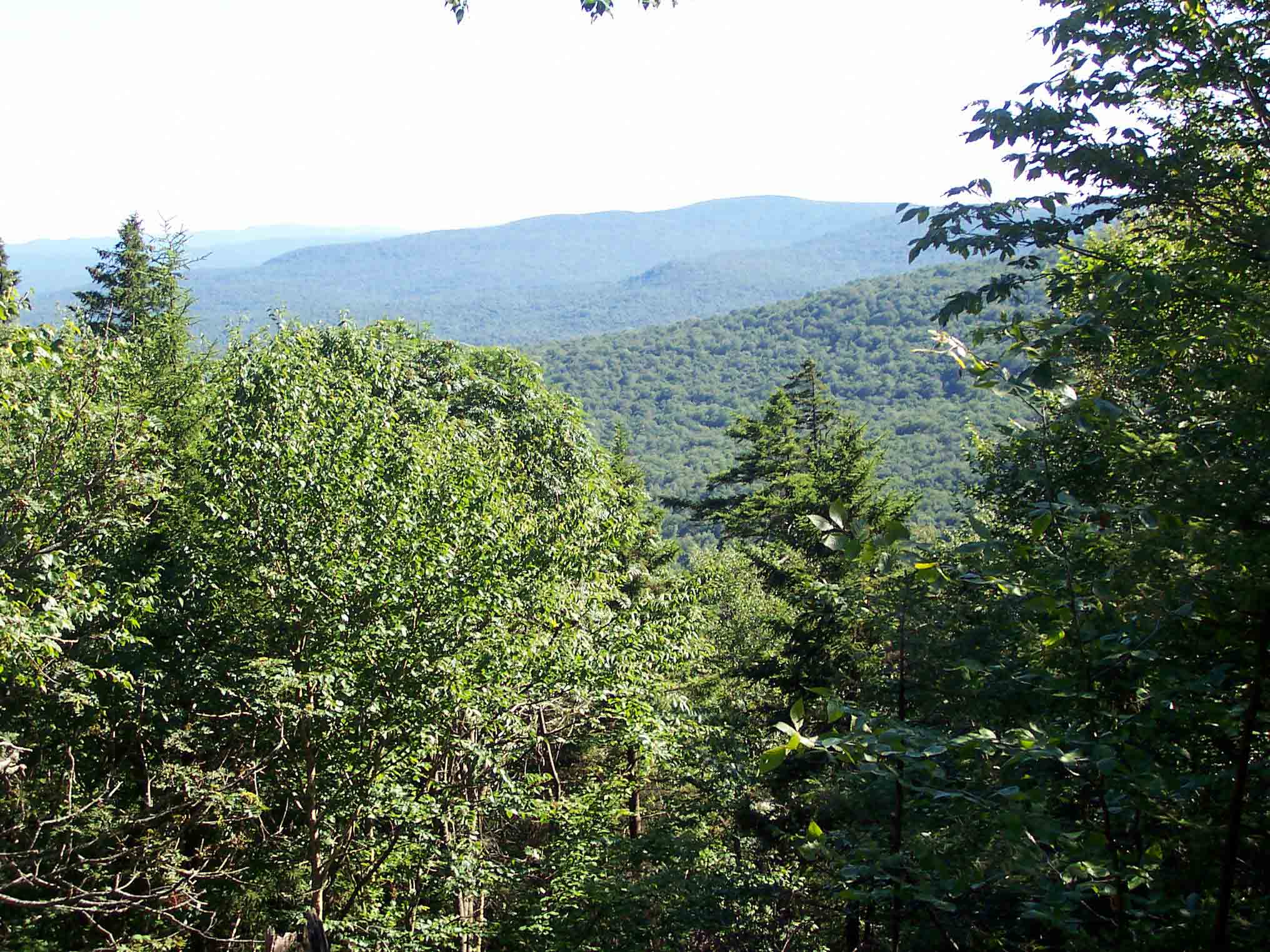 View south towards Glastenbury Mountain from viewpoint just before southbound trail descends into Glen Haven where Kid Gore shelter is located. Taken at approx. Mile 7.5.  Courtesy dlcul@conncoll.edu