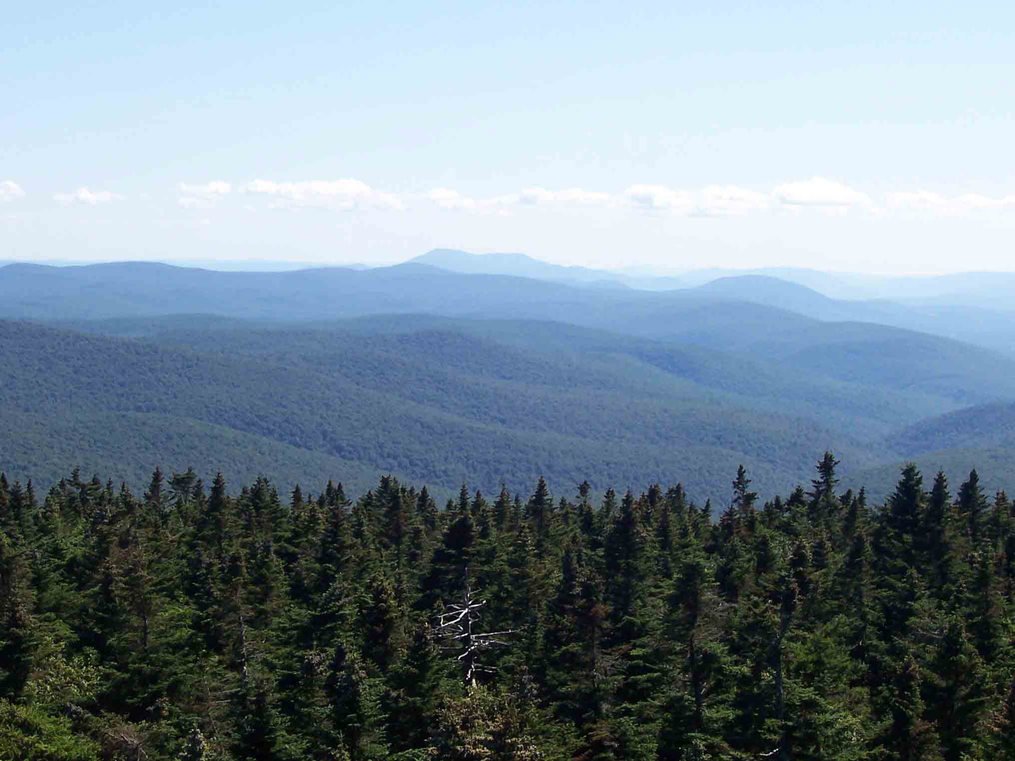mm 12.2 - View south from firetower on Glastenbury Mt. The large moutain in the distance is Mt. Greylock, highest point in Massachusetts.  Courtesy dlcul@conncoll.edu
