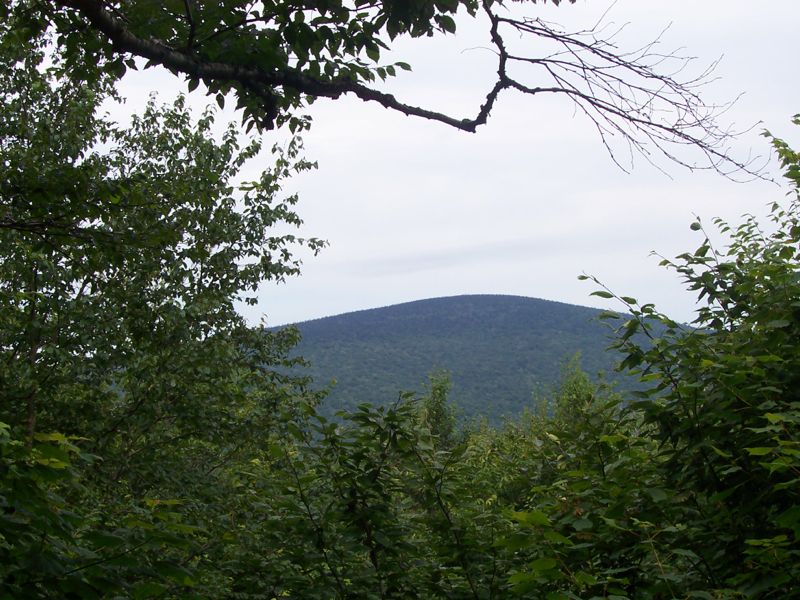 mm 15.0 View of Glastenbury Mt. from the almost overgrown Glastenbury Lookout. Courtesy dlcul@conncoll.edu