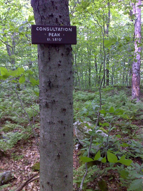 mm 7.3 Consultation Peak, so named because trail crews would meet here to discuss maintenance issues. GPS N42.8148 W 73.1217  Courtesy pjwetzel@gmail.com