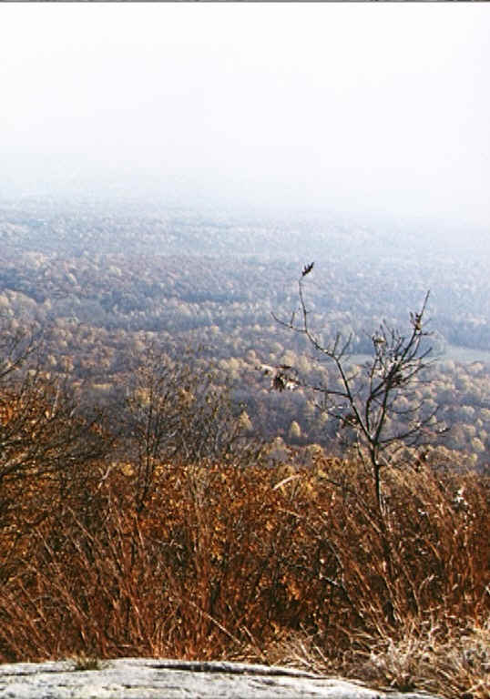 Delaware Water Gap to Fox Gap. Courtesy at@rohland.org