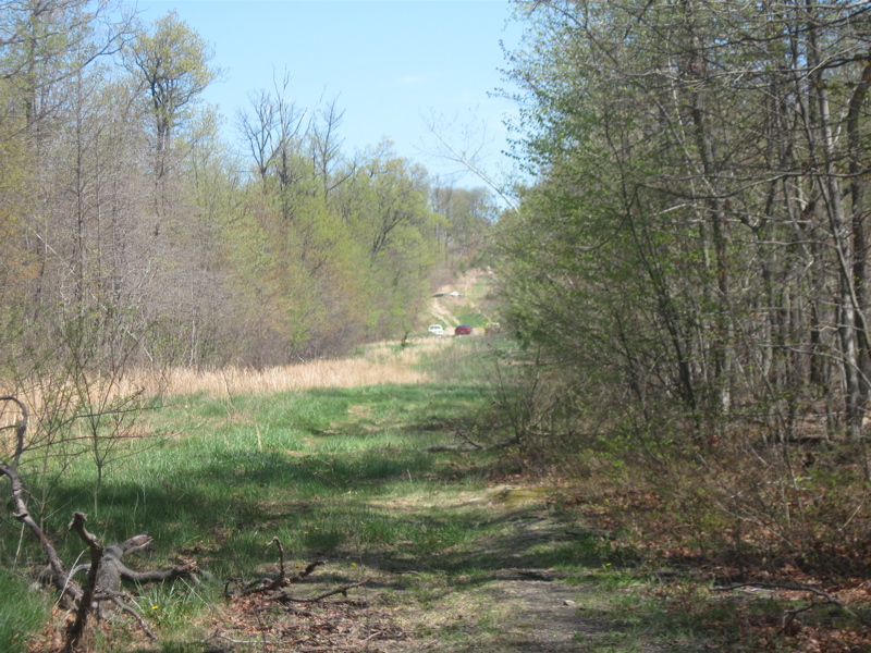 mm 12.9  Springtime view east along the pipeline right-of-way.  Rattlesnake Run Road is about 0.1 miles away.  Cars can be seen parked where the road crosses the pipeline.  Courtesy dlcul@conncoll.edu