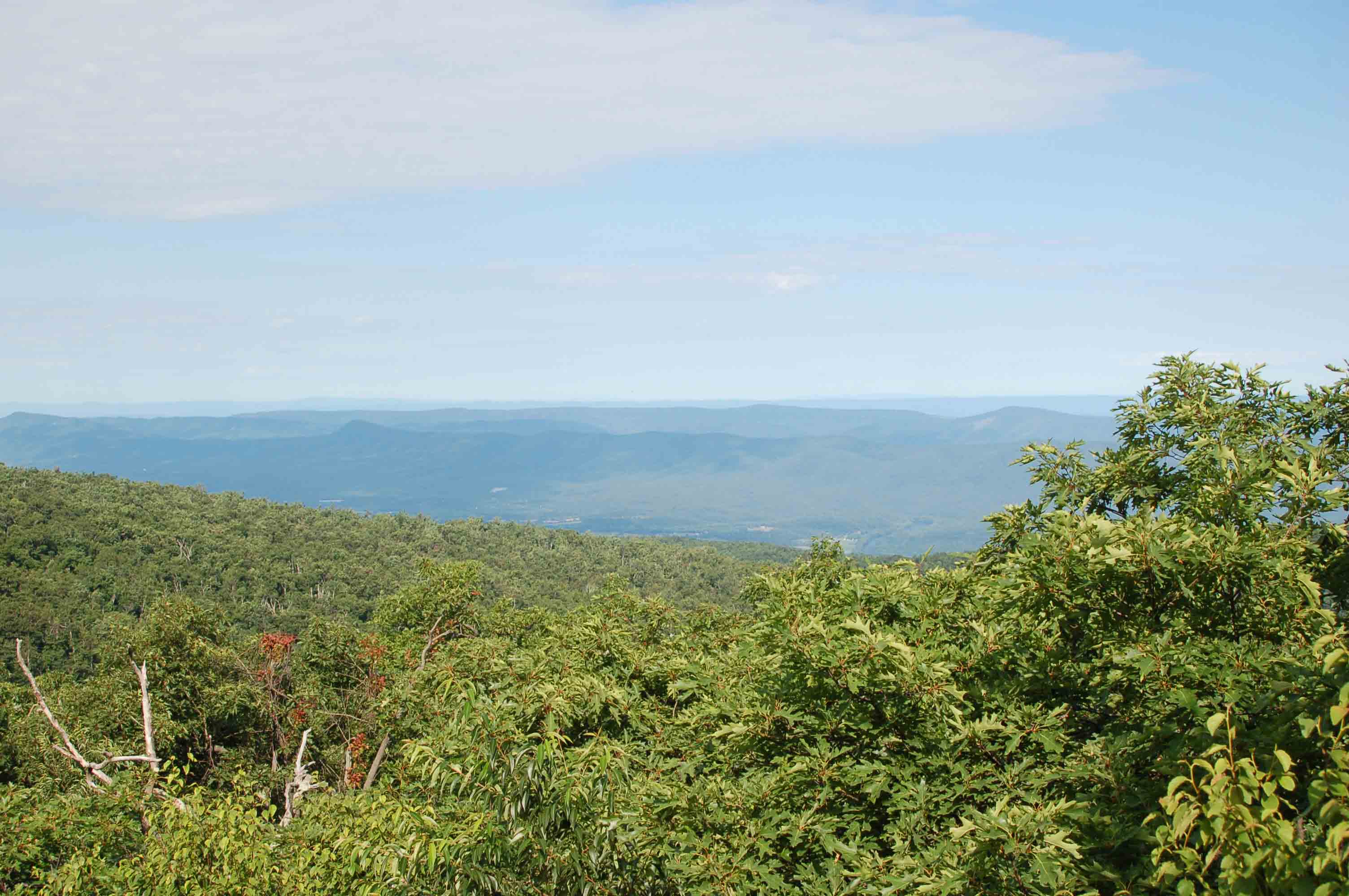 View from summit of Sugarloaf Mountain at mile 4.2.  Courtesy ideanna656@aol.com